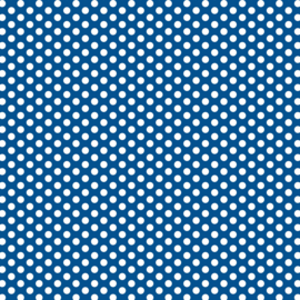 DV3040 Fundamentals 1/4 spot NAUTICAL