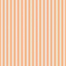 Stripe C505  marmalade