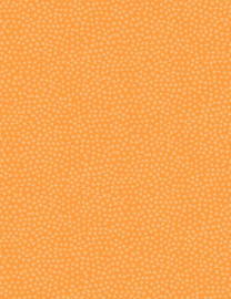 Jax stella 1560  tangerine