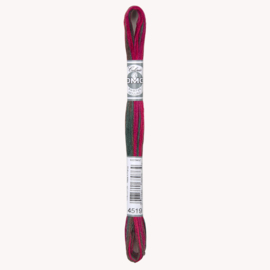 DMC mouline coloris 4519