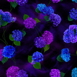 Midnight Bloom  CD 3384 Black