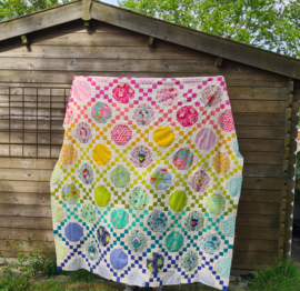 Happy Habitat quiltkit TulaPink