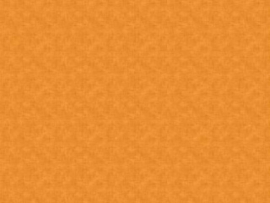 RetroStitch 1527O1