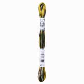 DMC mouline coloris 4521