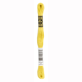 dmc mouline special 17