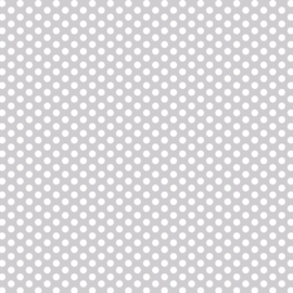 DV3028 Fundamentals 1/4 spot SILVER GUM