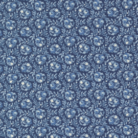 Amelias Blues 31653-12