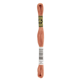 dmc mouline special 21
