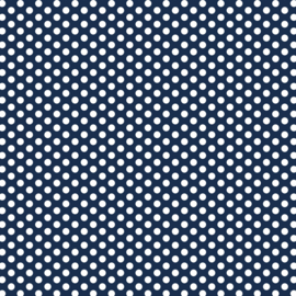 DV3041 Fundamentals 1/4 spot GAMBIER BLUE