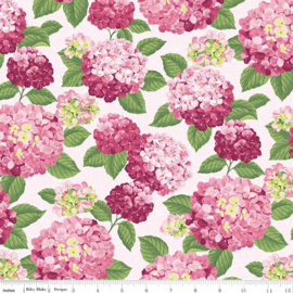 Hydrangeas in the Garden CPL 16830 pink
