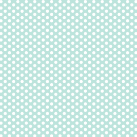 DV3042 Fundamentals 1/4 spot SEAFOAM