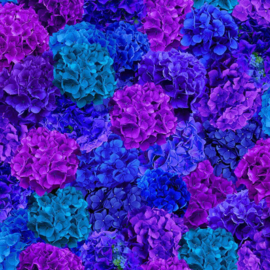 Midnight Bloom  CD 3383 Multi