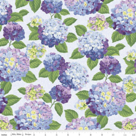 Hydrangeas in the Garden CPL 16830 powder