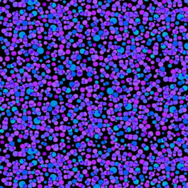 Midnight Bloom  CD 3389 Black