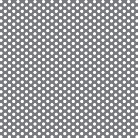 DV3027 Fundamentals 1/4 spot B/GREY