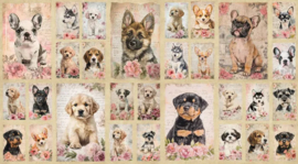 Coop's Farm DV7935 panel 60x110