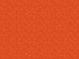 RetroStitch 1527O