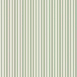 Stripe C505  sage