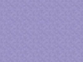 RetroStitch 1527P