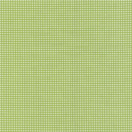 Gingham 455 green