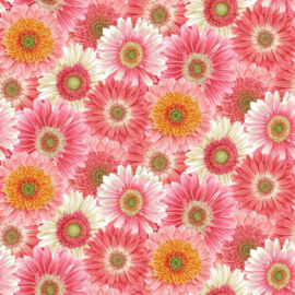 Bloomscape Packed Flowers 2437-22