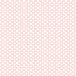 DV3034 Fundamentals 1/4 spot SPOT PETAL