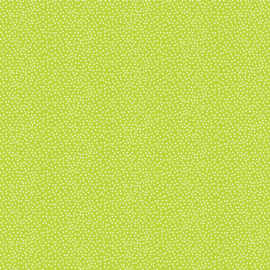 confetti DV2261 LIME