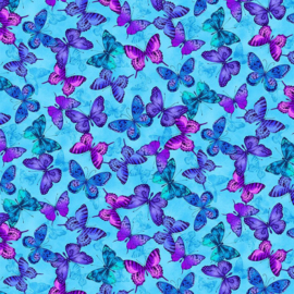 Midnight Bloom  CD 3388 blue