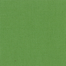 DV030 Solids CROCODILE GREEN