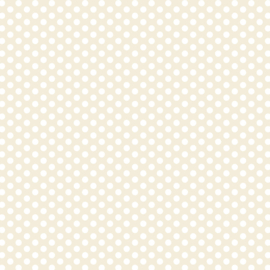 DV3029 Fundamentals 1/4 spot N/CREAM