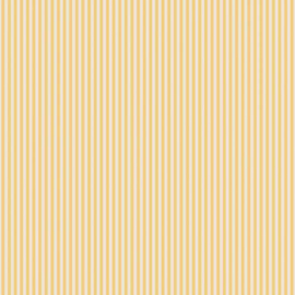 Stripe C505  honey