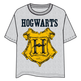 Harry Potter Hogwarts adult t-shirt