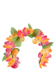 diadeem hawai oranje / roze