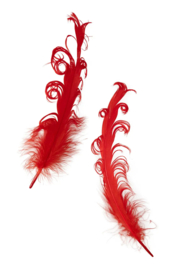 krul veer | rood