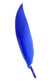 veren donker blauw 10 - 15 cm