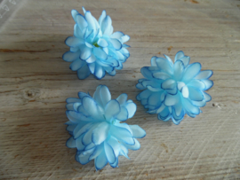chrysant blauw