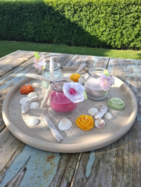 schelpenzand schelpen drijfhout