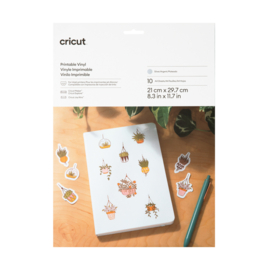 cricut printbaar vinyl | zilver