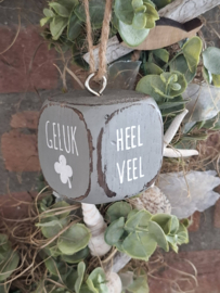 dobbelsteen | heel veel geluk