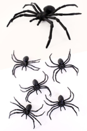 spin zwart 10 cm