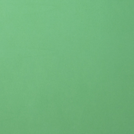 florence cardstock smooth | emerald