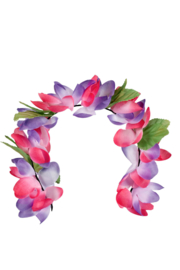 diadeem hawai roze / paars