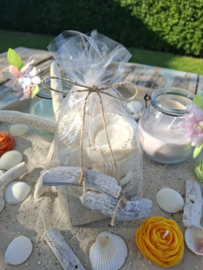 schelpenzand schelpen drijfhout