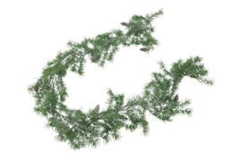 Guirlande Picea glauca L groen