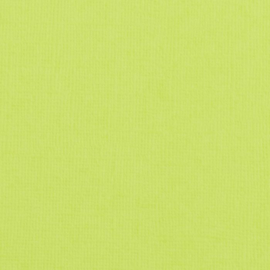 florence cardstock texture | pistachio
