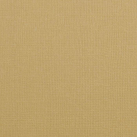 florence cardstock texture | parchment