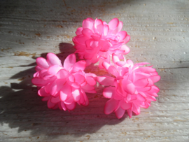 chrysant neon roze