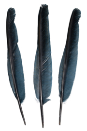 Veren 21 cm zwart