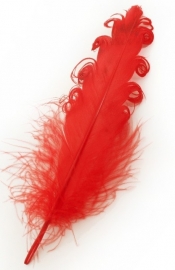 krul veer| rood/geel/groen