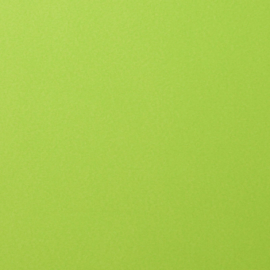 florence cardstock smooth | lime